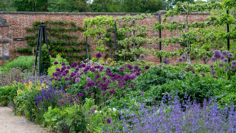 View across the walled kitchen garden